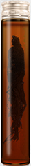 Black Ginseng